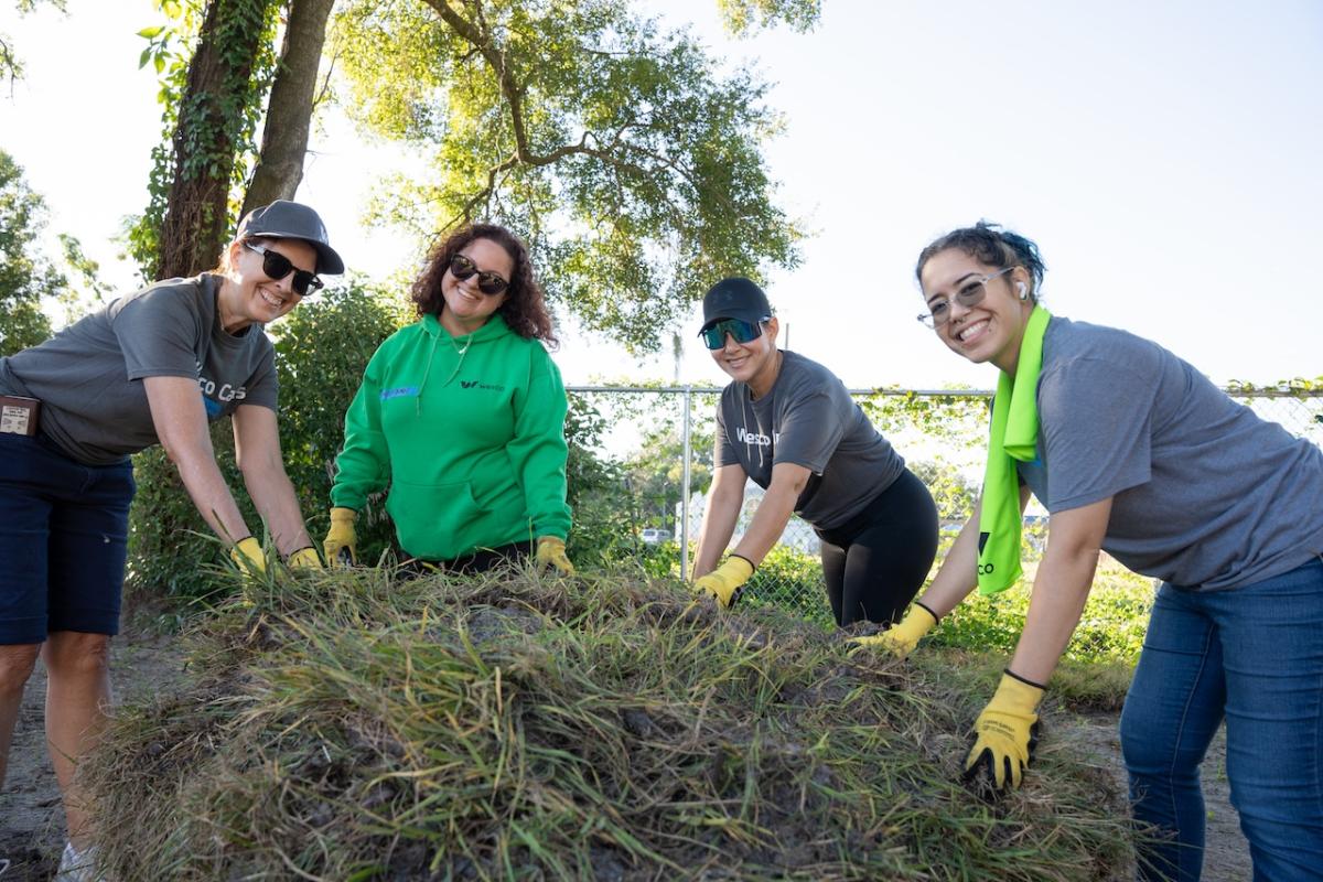 Wesco volunteers preparing a lawn installment.