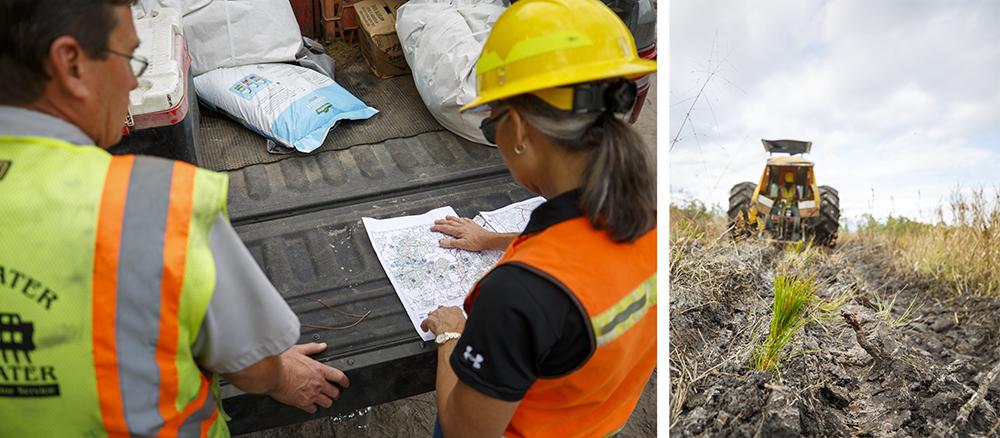 Terri looking at a map laid on the tailgate of a truck as another looks on. On the right a machine plants seedlings.