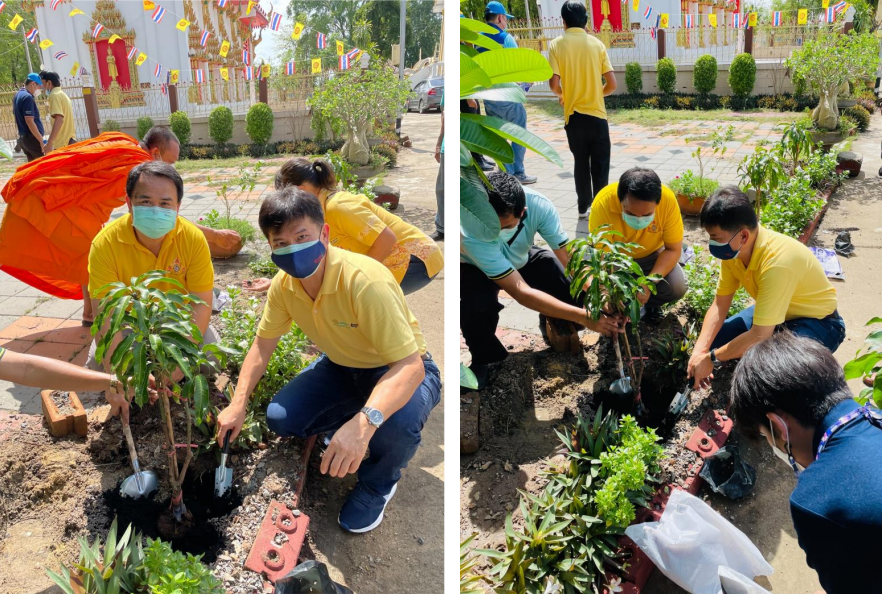 Our Crown TCP team in Nong Khae, Thailand plants trees for its National Tree Day 2022, promoting new greenery growth and a healthier local ecosystem—elements that aid biodiversity " "