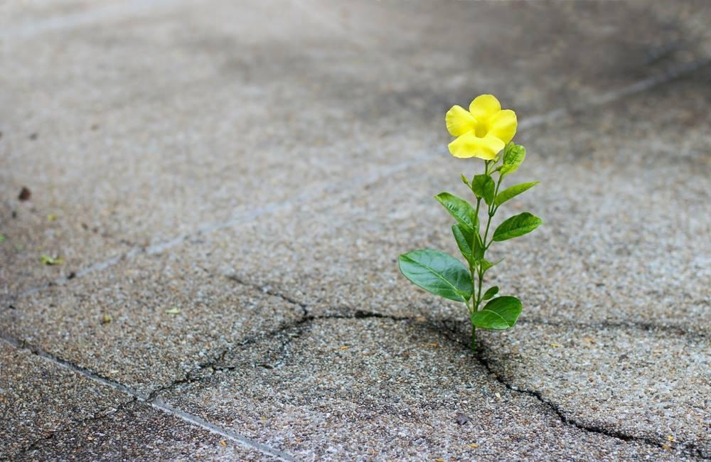 There’s always hope for a better future— we just have to figure out who is our best chance of delivering it. Photo credits: Medium