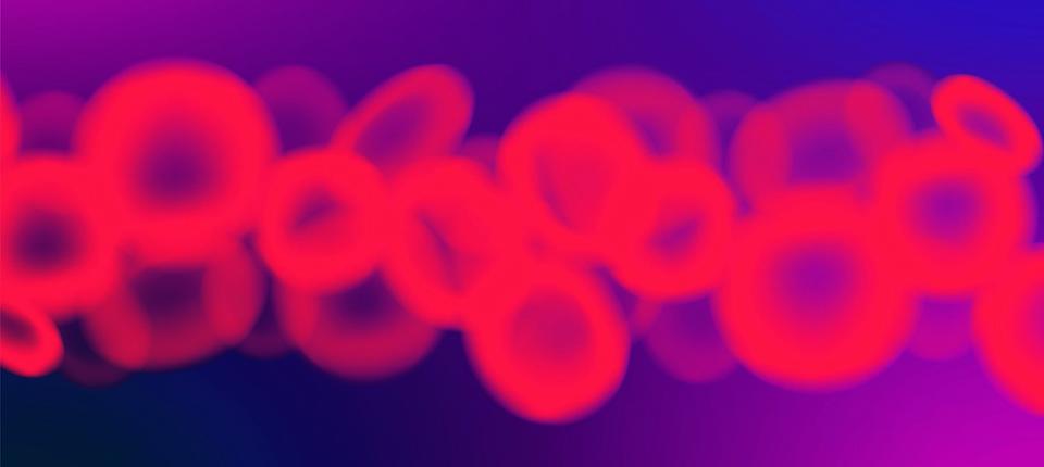 bloodstream diagram