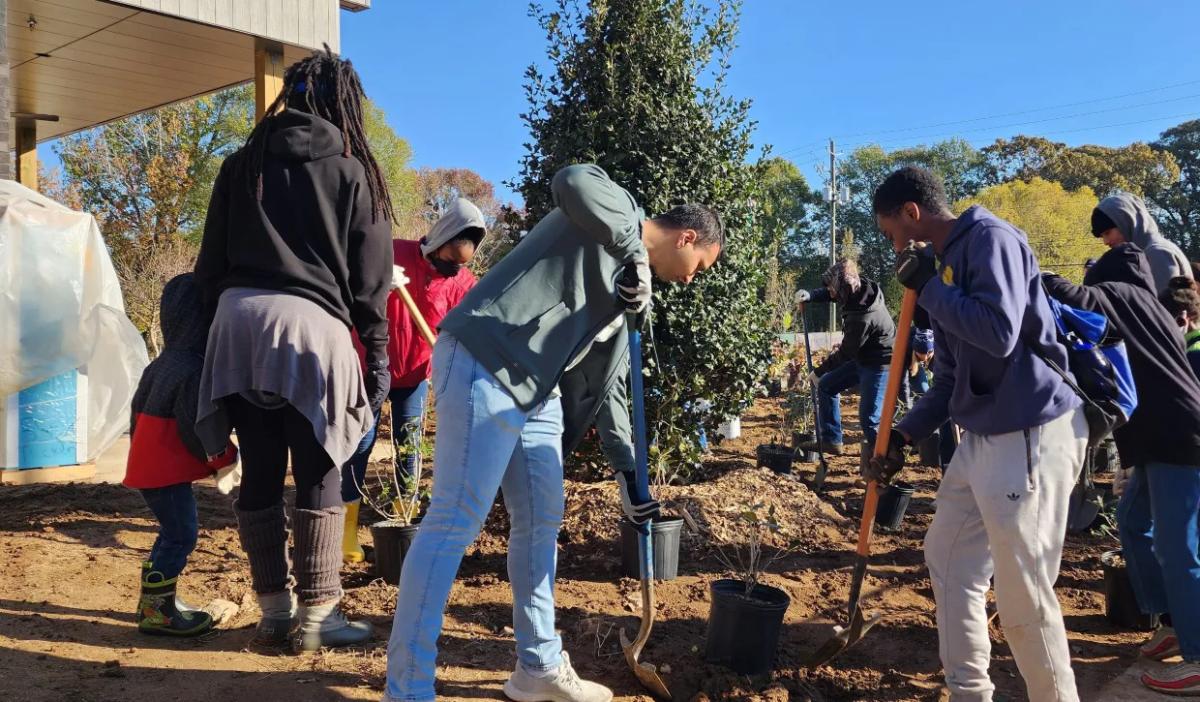 A group of people outside planting trees