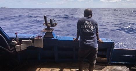 Person monitoring commercial fishing on longline tuna vessels.