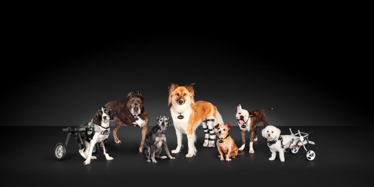 Throughout October and on National Make A Dog’s Day (October 22) Subaru is supporting and celebrating pets. Through a series of creative spots, the automaker is shining a spotlight on the hard-to-adopt shelter pets in need of loving homes, including dogs with special needs, affectionately dubbed “Underdogs.” seven hard-to-adopt shelter dogs