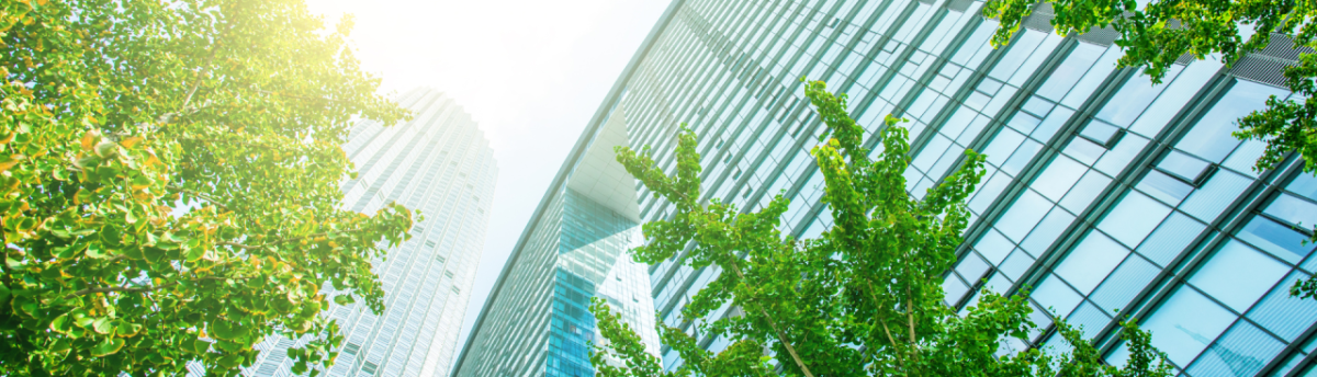 Green Building, seen from below