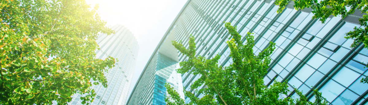 Green Building, seen from below 