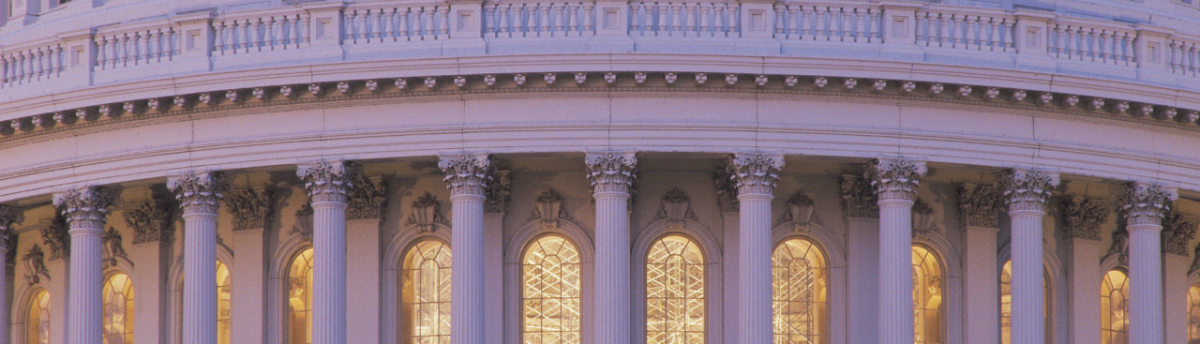 Close up of the capital building