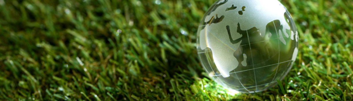 glass globe on grass