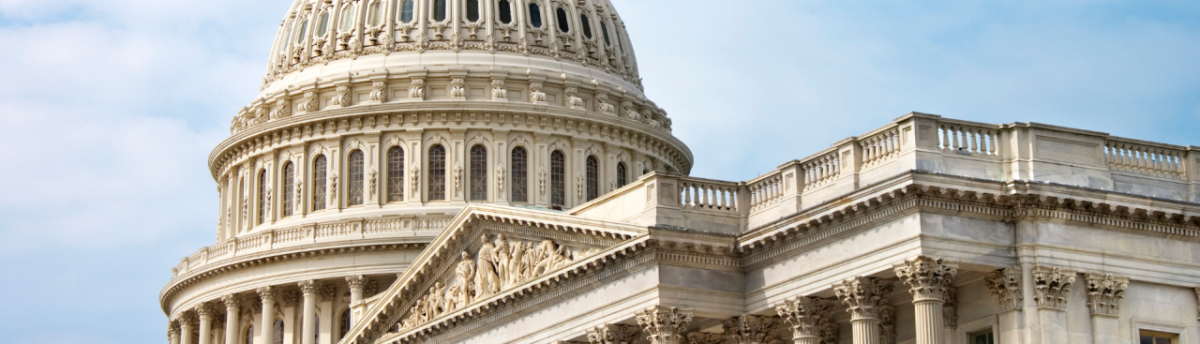 U.S. Capitol Building