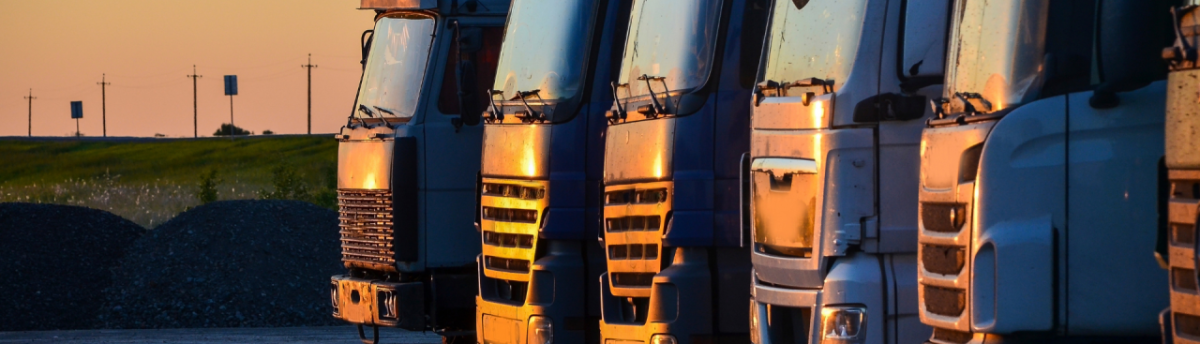 buses in the setting sun