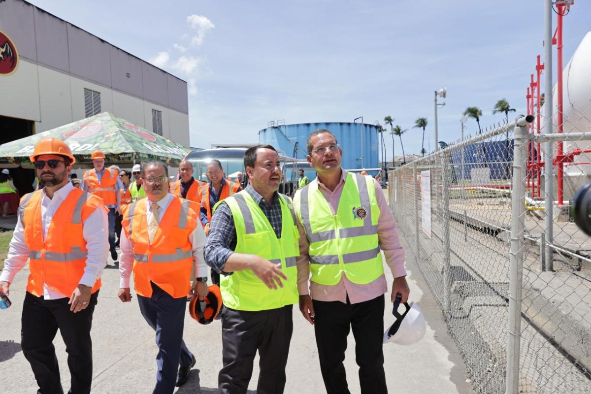 Workers in hi-visibility vests at Bacardi rum distillery