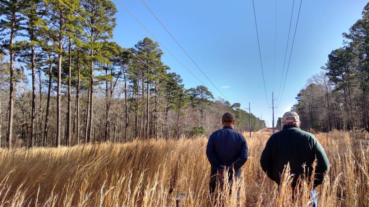 Two people walking through tall grass