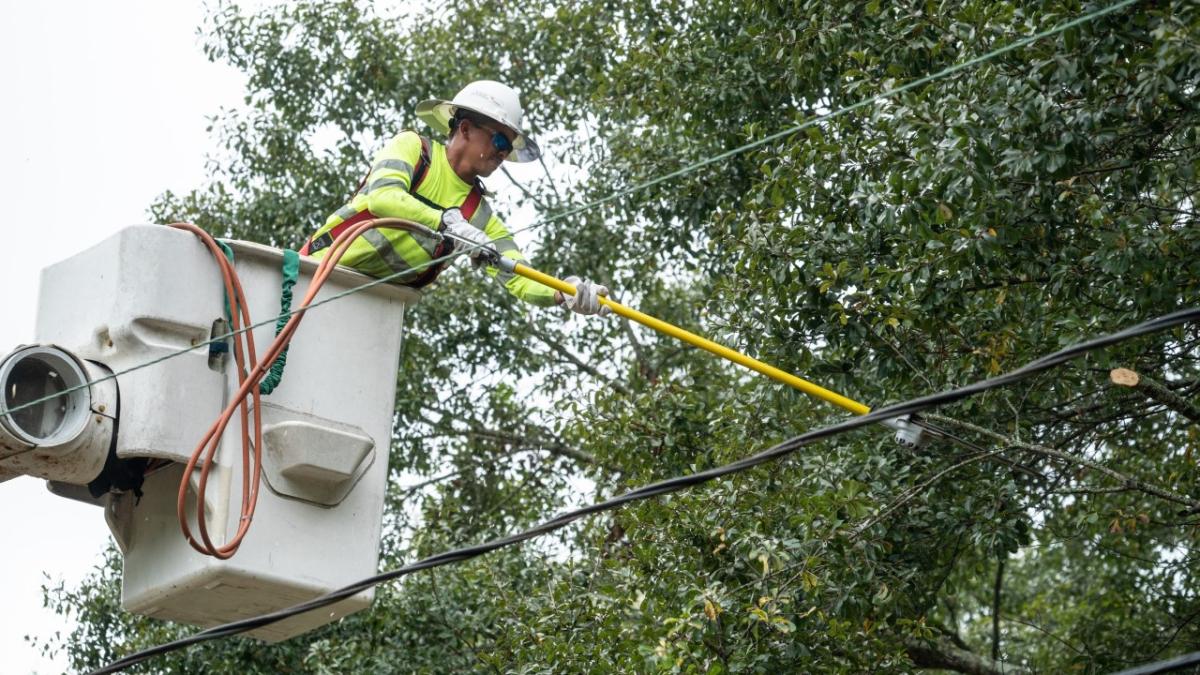 Powerline worker