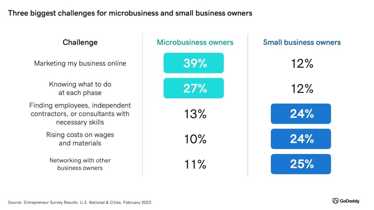 Chart showing the three biggest challenges for microbusinesses and small business owners.