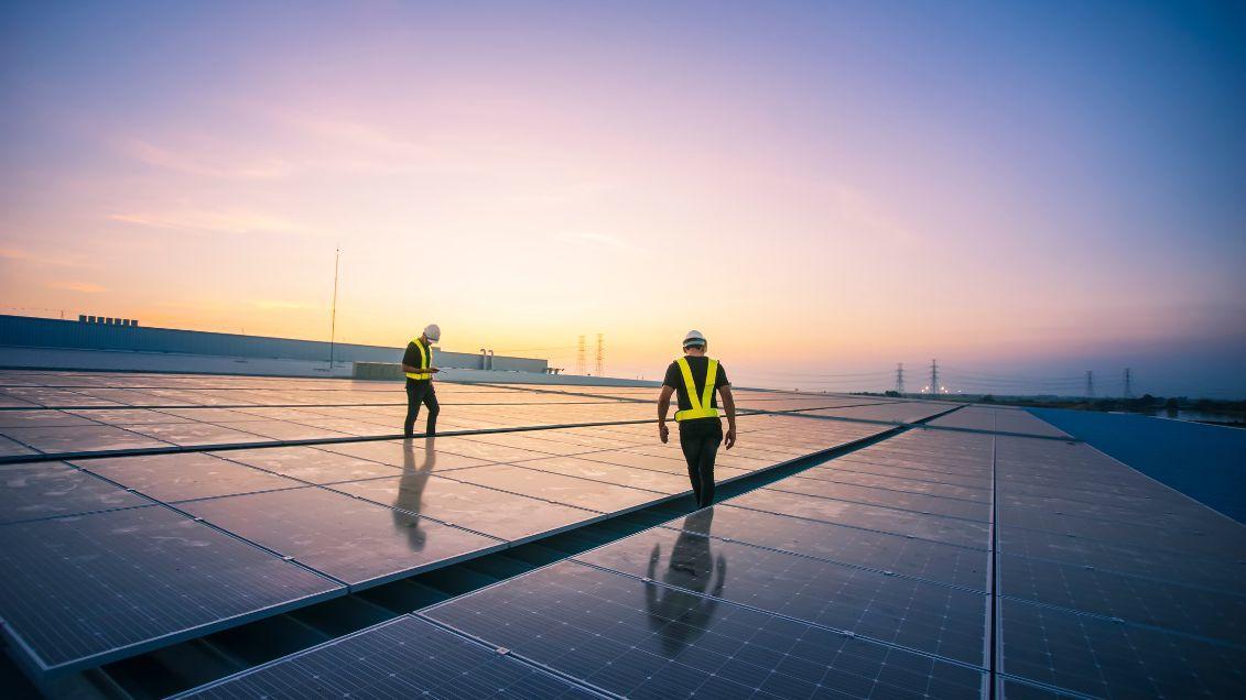 two people walking in between solar panels