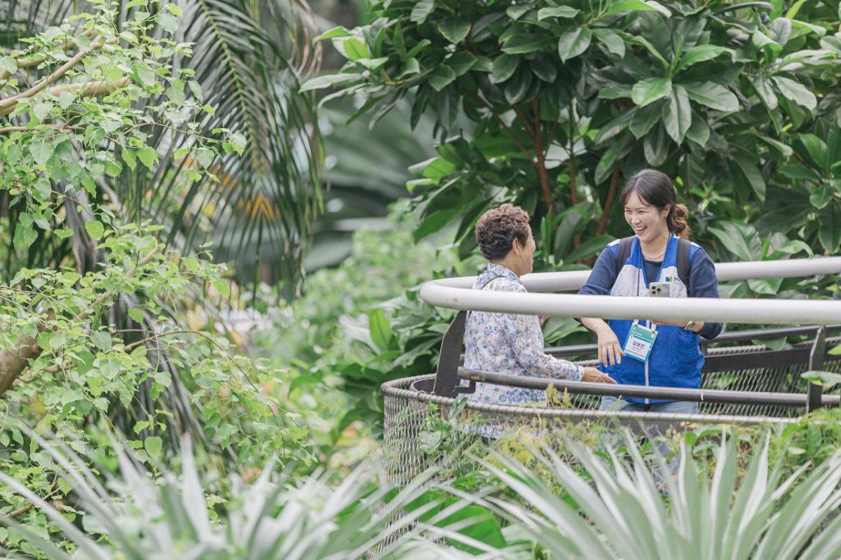 people standing in the jungle