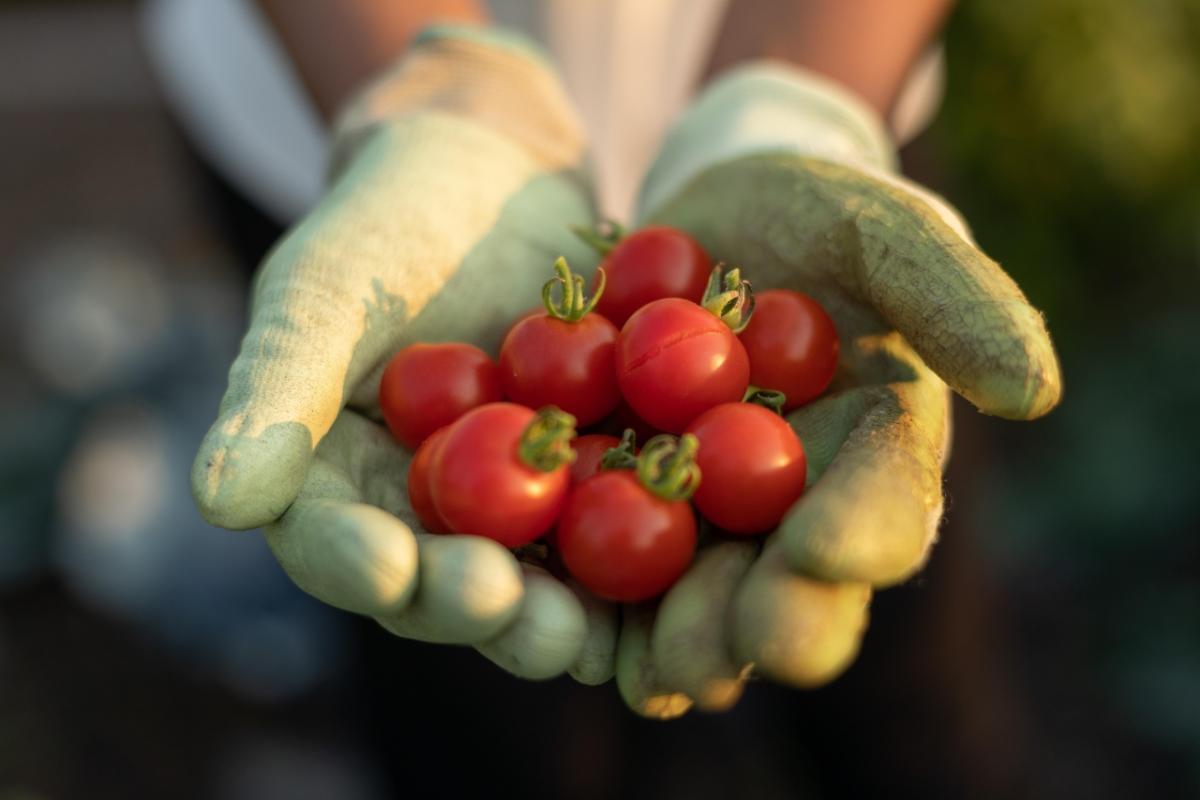 Amidst the global pandemic, new market analysis shows sustainability is now table stakes for the food, beverage and agriculture sectors. © Cameron Karsten Photography
