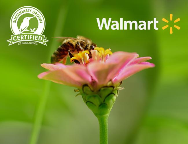Walmart Canada Recognizes Sustainably Grown Certification for their new pollinator health program