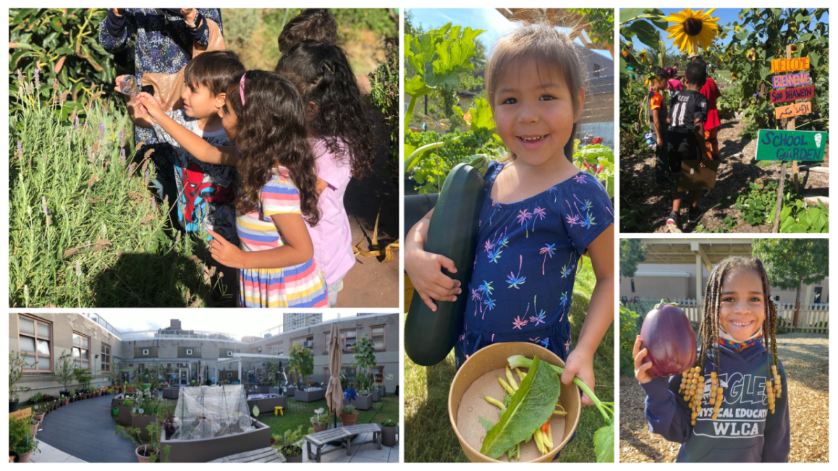 Collage of children picking vegetables