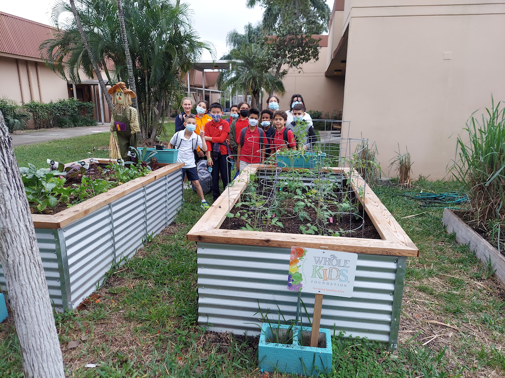 raised beds and The Whole Kids Foundation Sheridan Hills Elementary Hollywood, FL Garden Club