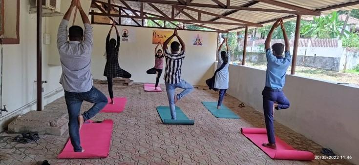 People doing yoga