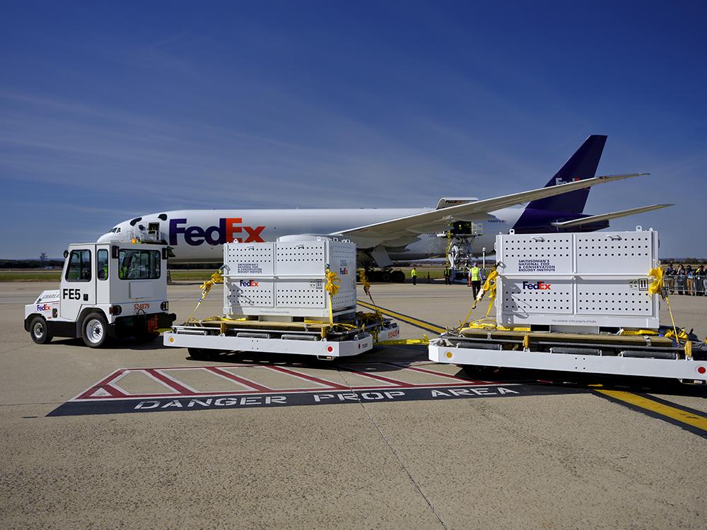 Crates arriving on tarmac next to FedEx airplane