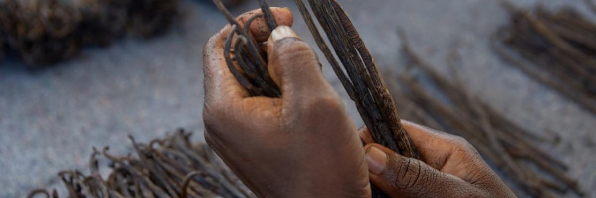 Source: Livelihood Funds