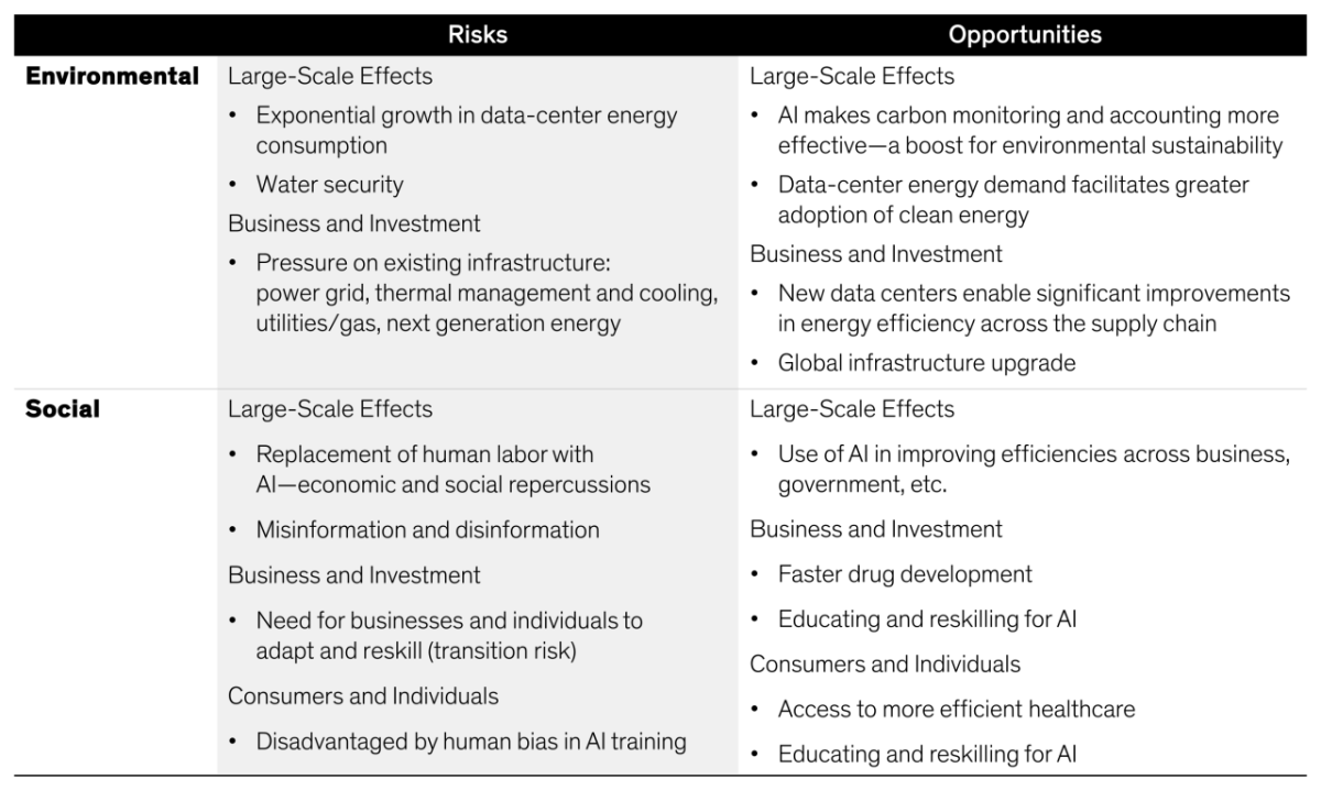 Environmental and Social Risks and opportunities