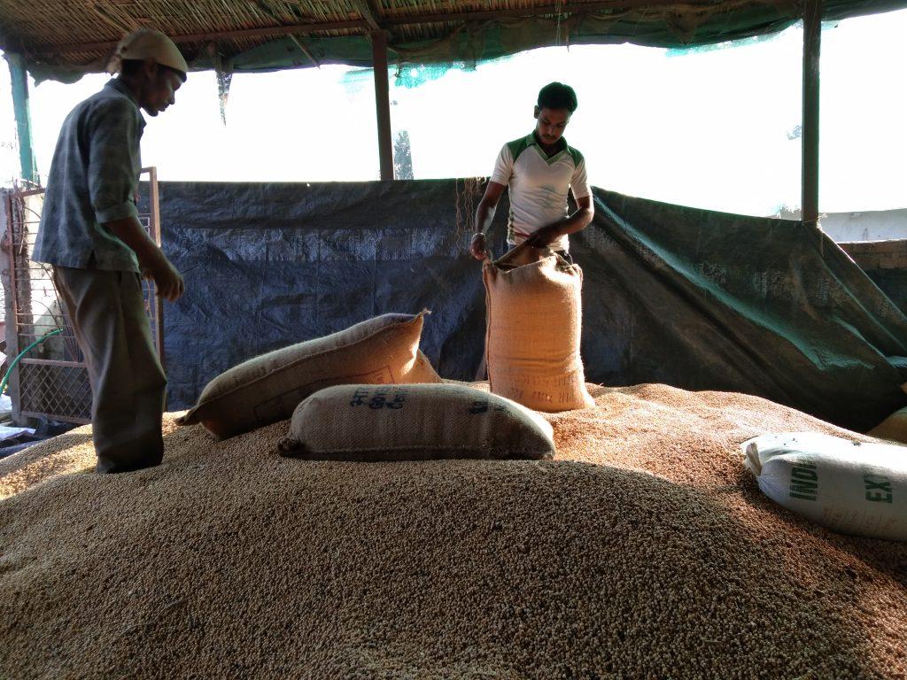Smallholder farmers storing their produce at a Gramhal warehouse.