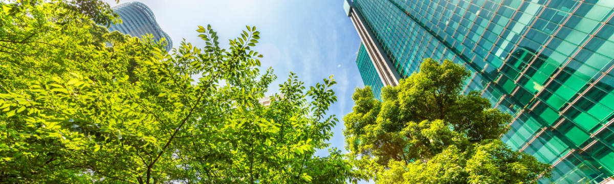 trees in front of a skyscraper