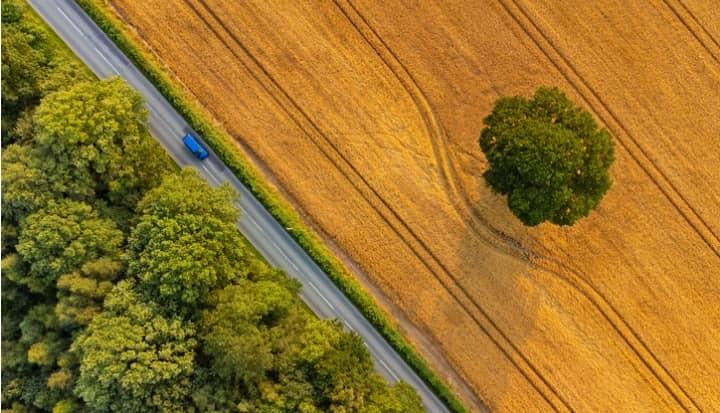 The Paradox of ESG ESG Data Evaluation