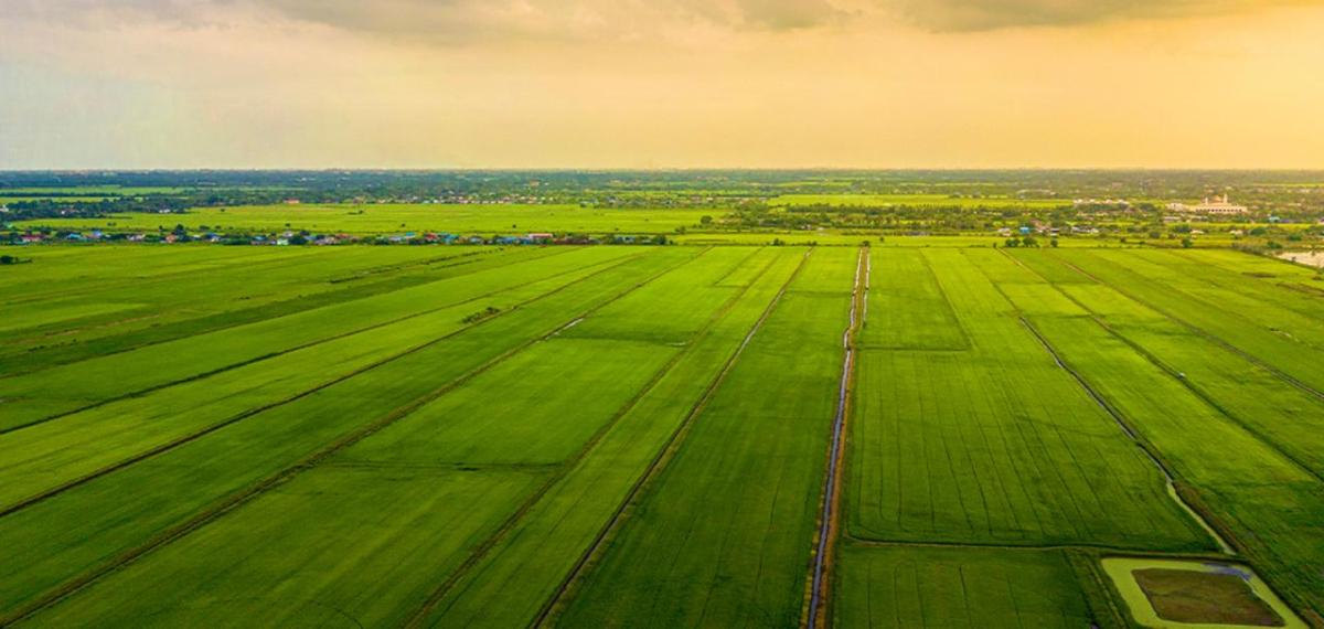 Aerial view of open fields.