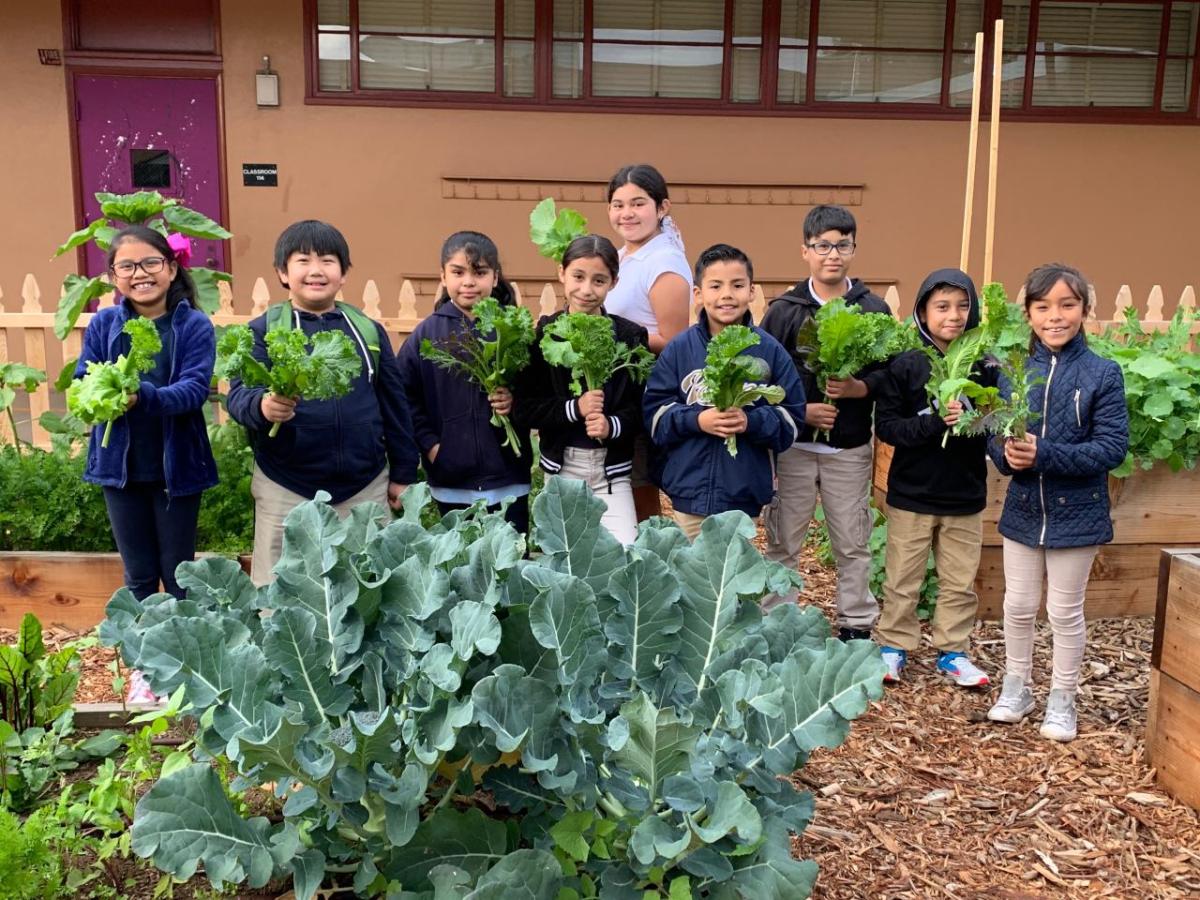 Children standing in a garden holding greens