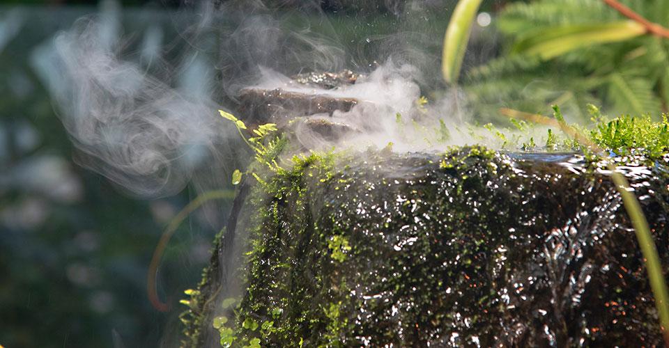 vapor rising from mossy rock