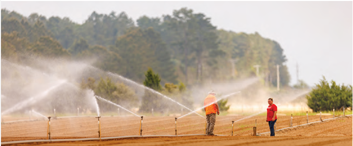 Two people standing in a field that is being watered with sprinklers