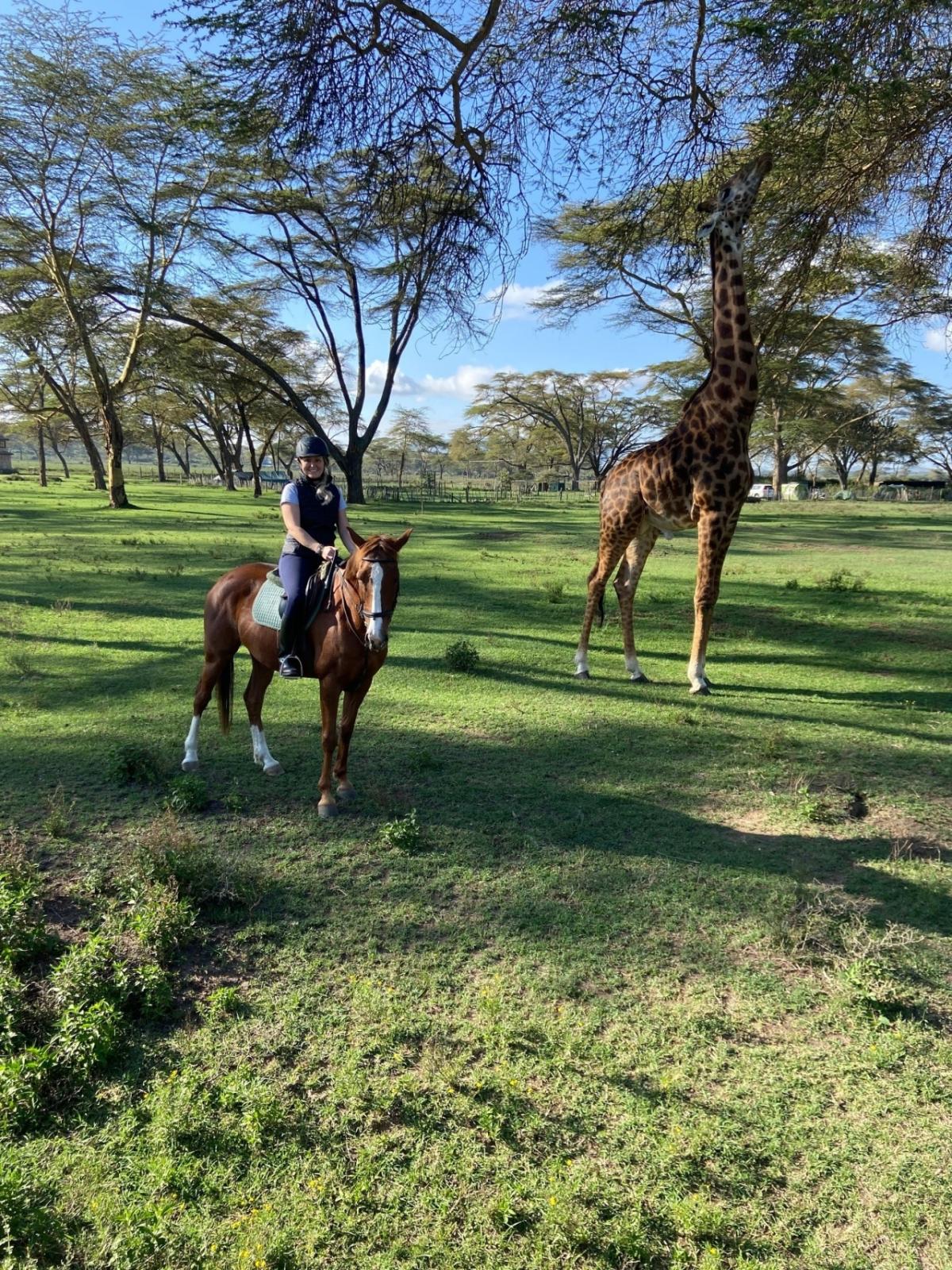 Stefanie on a horse next to a giraffe