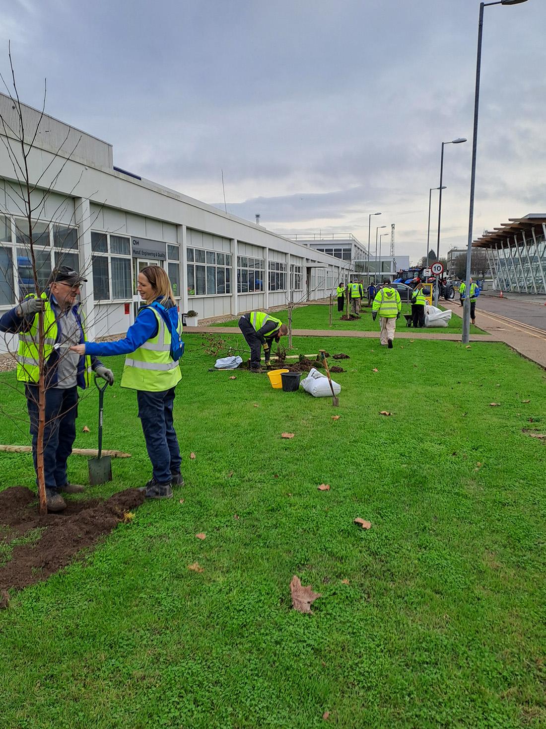 Volunteers planting trees next to a building