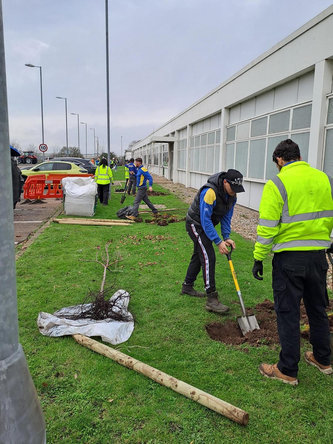 Volunteers planting trees next to a building