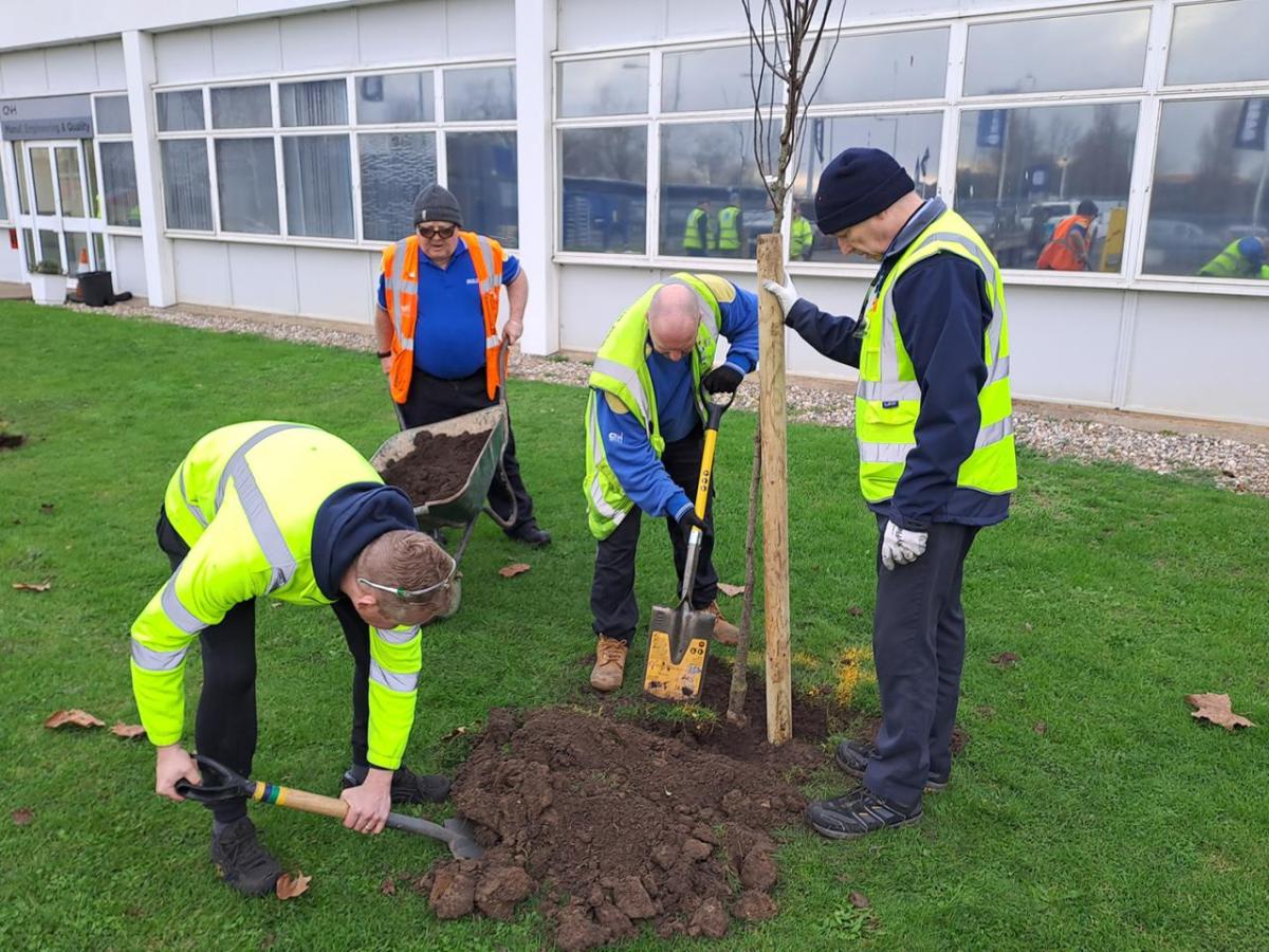 Volunteers planting a tree next to a building