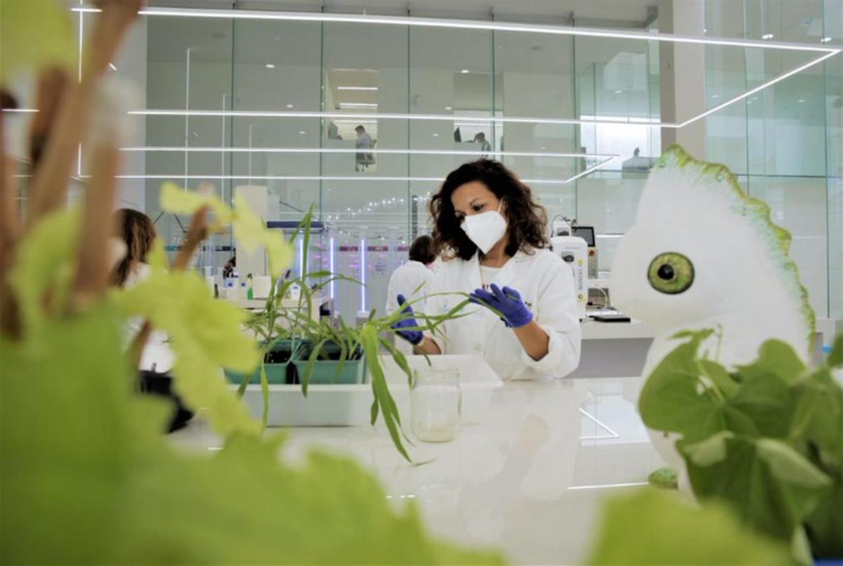 As a world leader in biologicals R&D, Kimitec’s MAAVi Innovation Center will provide its expertise and its unique disruptive technology. " "