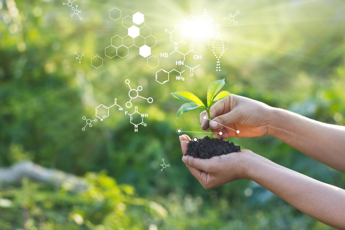 biochemistry symbols coming from a plant with a background of greenery