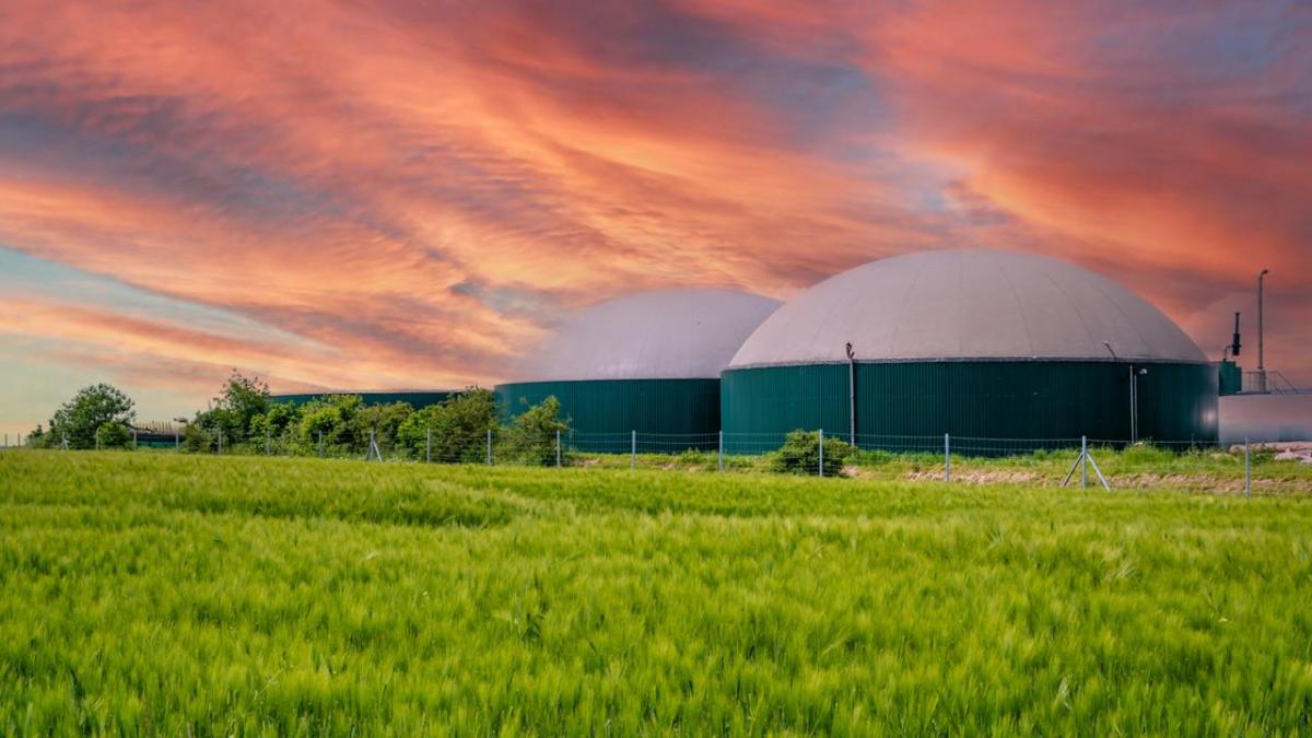 biogas plants