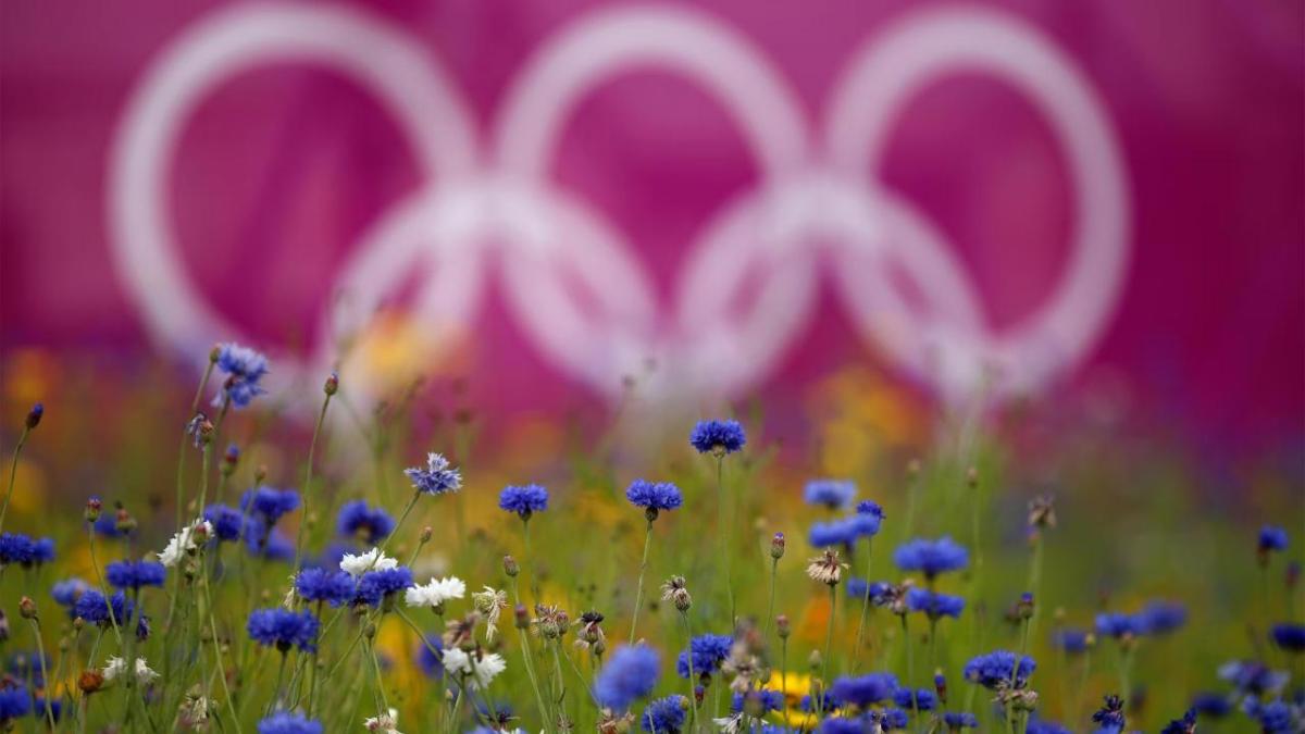 Blue flowers in a field, a faded Olympic symbol sign in the back.