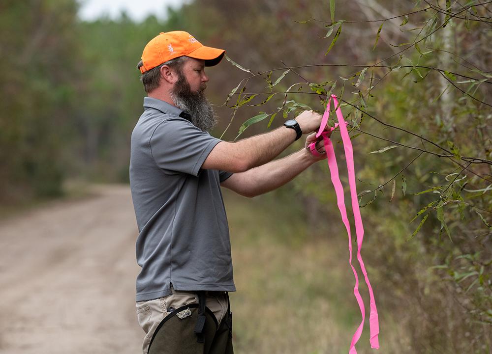 A person ties a pink ribbon to a tree branch