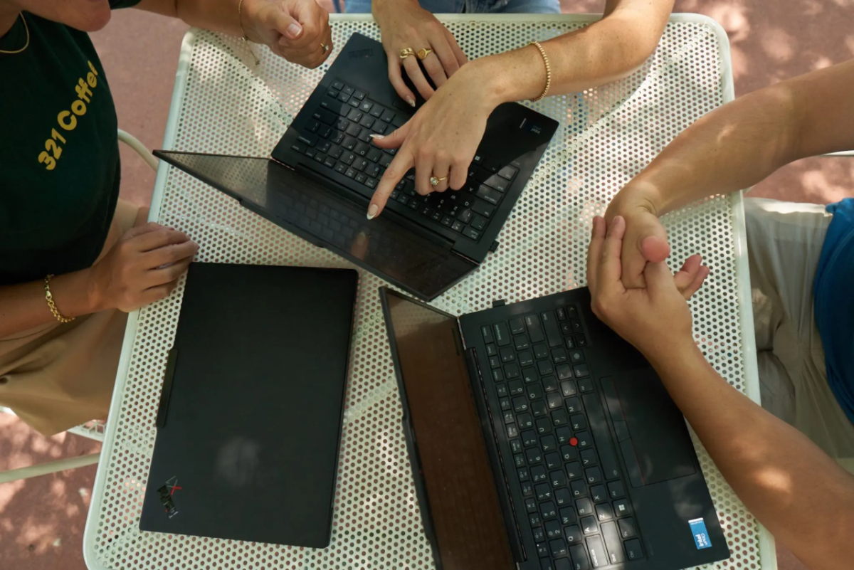 people working at laptops