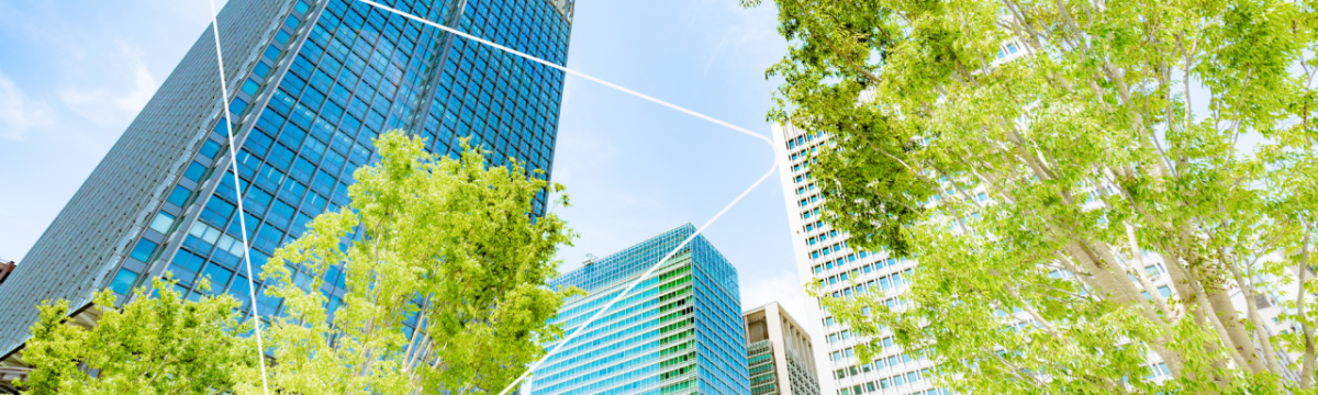 Outdoor view pointed up to the sky and tops of tall office buildings. Trees in the foreground.