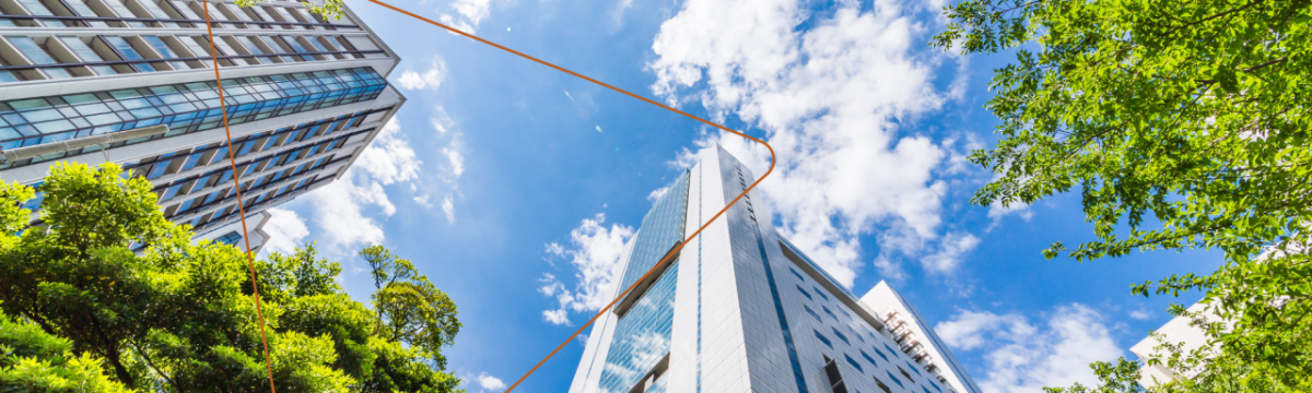 View looking from the ground up to the top of tall buildings. Tree tops and a partly sunny sky in between buildings.