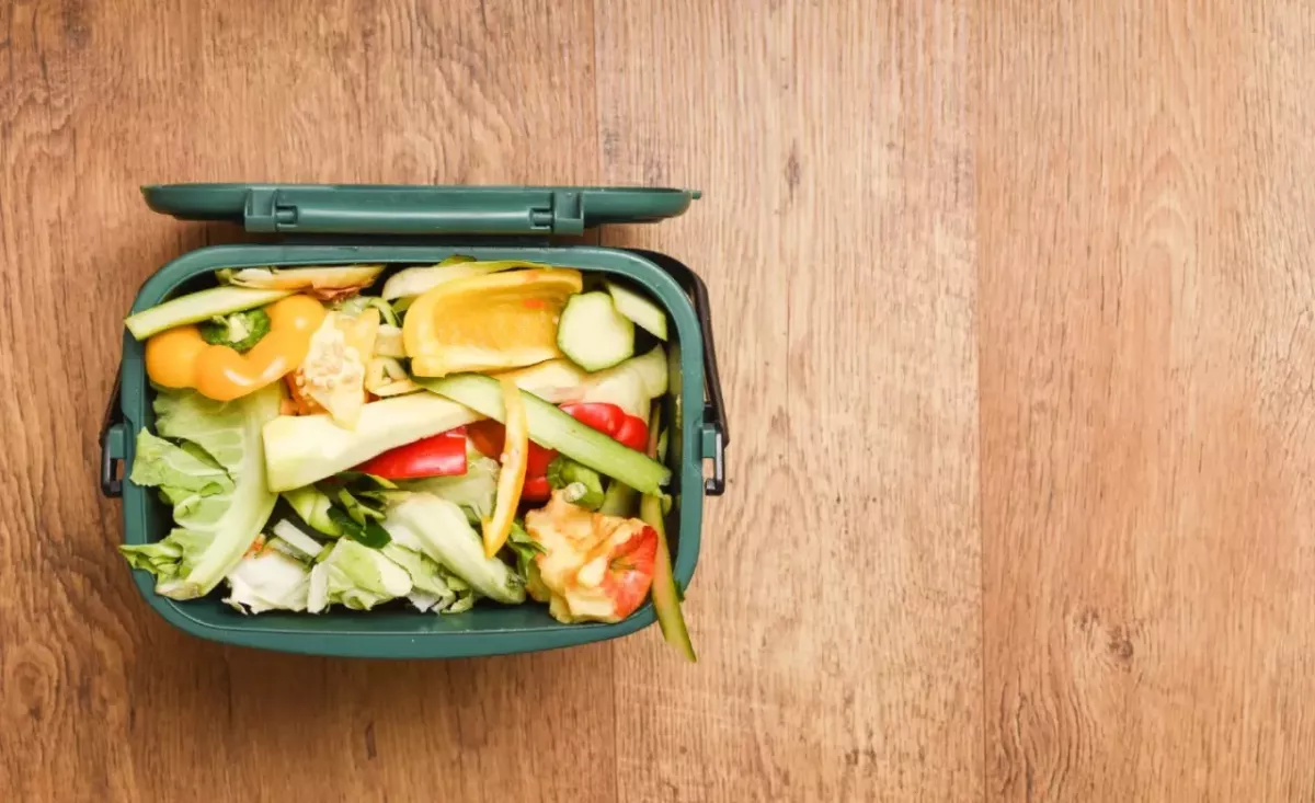 Image courtesy of Istock food leftovers