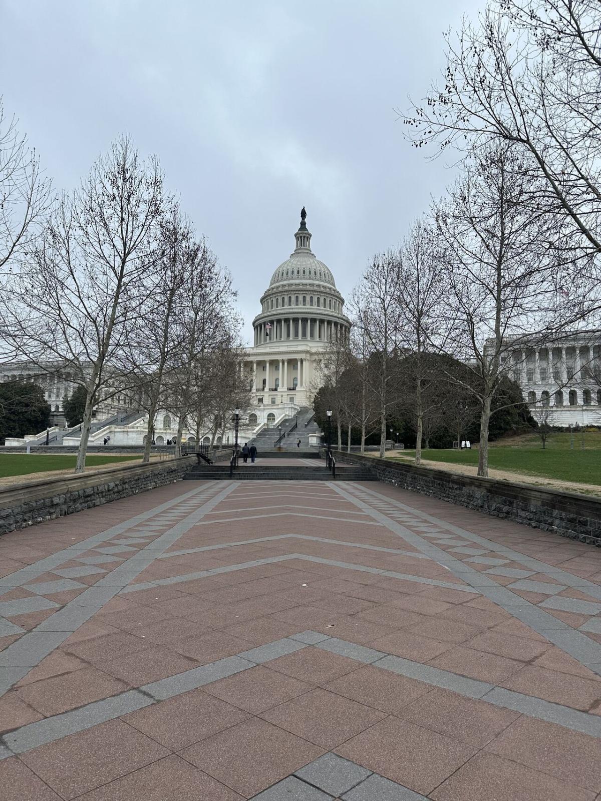 Capital building and a long walk way in front.