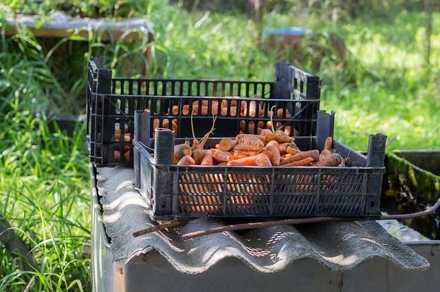 When food is wasted, the resources that went into producing that food are also wasted.